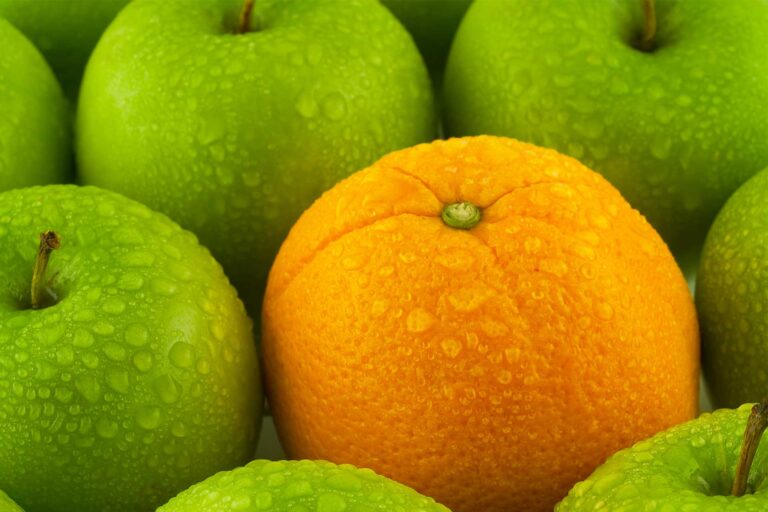 Milwaukee-based NAVEO Marketing's web marketing services create growth for your brand.