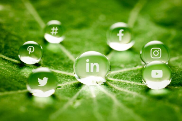 social media marketing services Milwaukee